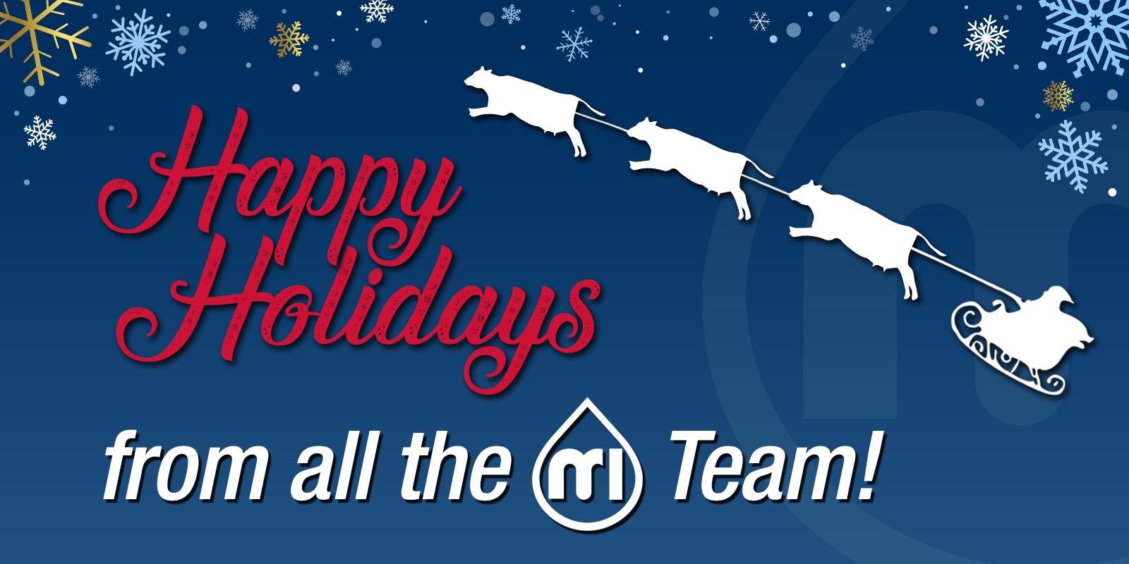 Christmas Banner ENG
