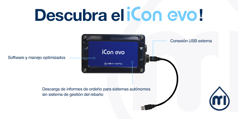 Icon Evo SPA