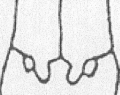 teat positioning
